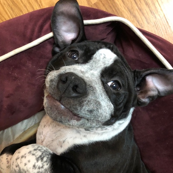 Meet your Posher, Trina - Picture 1 of 1